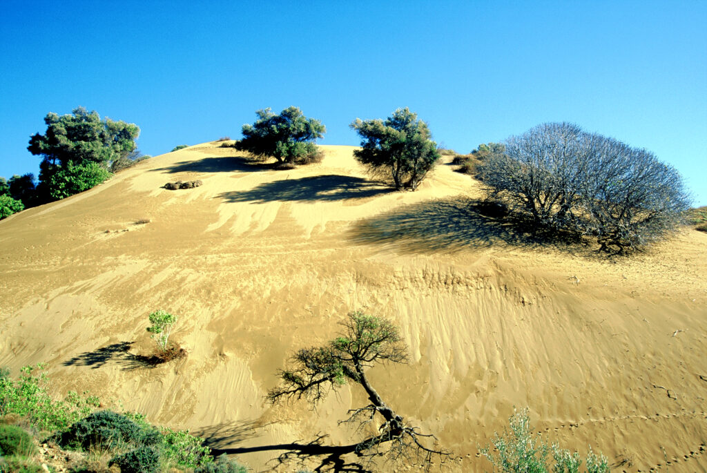 Lemnos is known for its long sandy beaches and volcanic landscapes